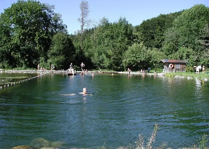 فندق Hoerterer Der Hammerwirt سيغزدورف