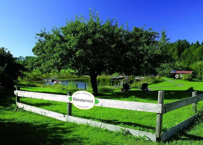 Hörterer Der Hammerwirt 3*